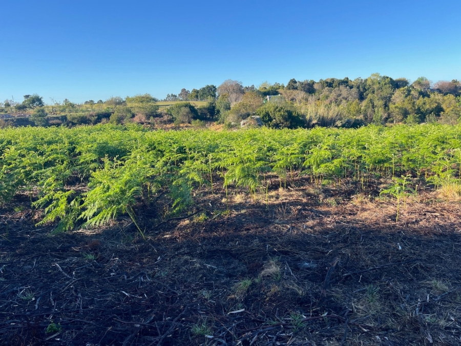 Commercial Property for Sale in Plettenberg Bay Rural Western Cape